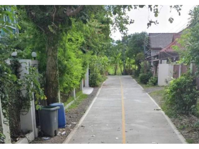 ขายที่ดินบ้านร้องเรือนคำตำบลป่าแดดเขตเมืองพร้อมโอน