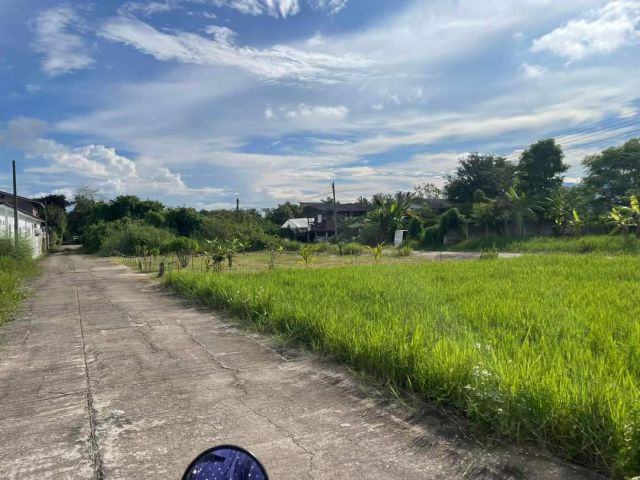 ขายที่ดินตำบลป่าไผ่สันทรายติดถนนคอนกรีตพร้อมโอน