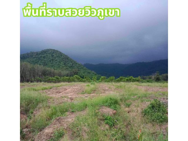 ขายที่ดินรวม 24 ไร่