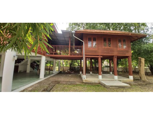 ขายบ้าน พฤกษาดอยคำ หนองควาย หางดง   บ้านไม้ เรือนไทย