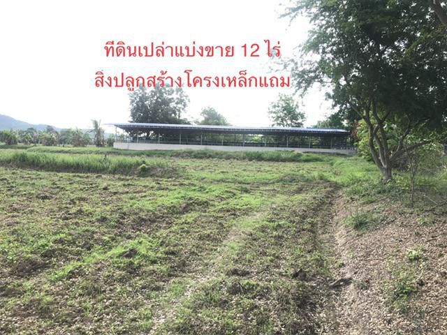ขายที่ดิน เปล่า 12 ไร่