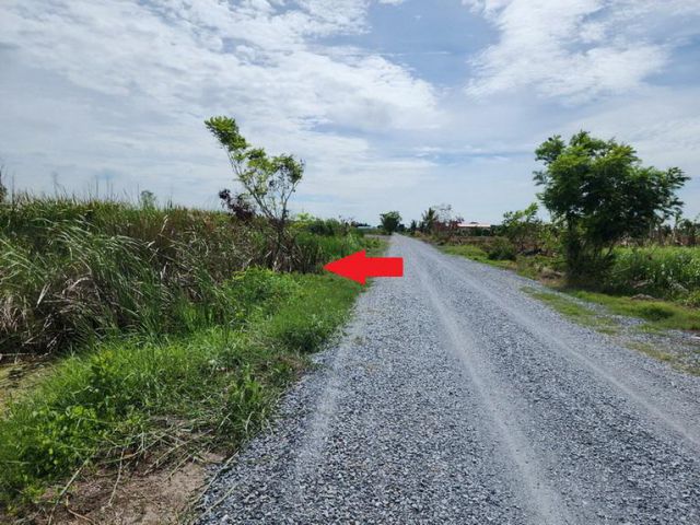 ขายด่วนที่ดิน 2 ไร่ ต.บัวปากท่า อ.บางเลน จ.นครปฐม ใกล้ถนนทางหลวง 3422