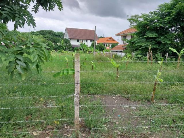 ขายที่ดินตำบลหนองควายหางดงแยกสะเมิงพร้อมโอน