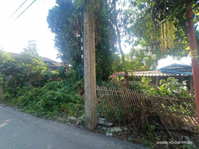 ขายที่ดินตำบลท่าศาลาตรงข้ามค่ายกาวิละพร้อมโอน