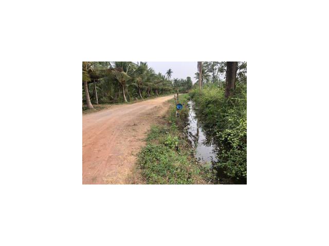 ขายที่ดิน1ไร่ติดถนน
