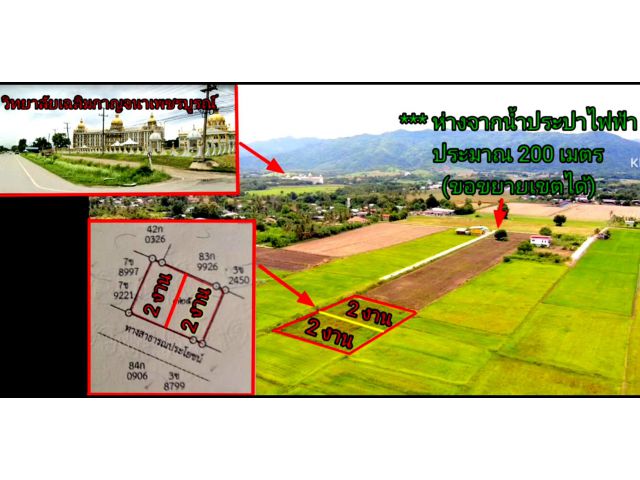 ขายที่ดิน 2 งาน ต.บ้านโตก