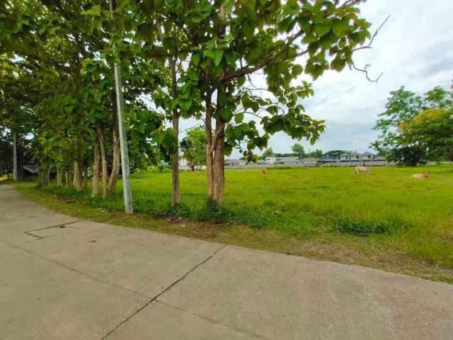 ขายที่ดินสันทรายสันทรายหลวงติดถนนพร้อมโอน