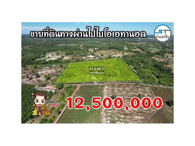 ขายที่ดินใกล้ไบโอเอทานอล 31-0-94 ไร่