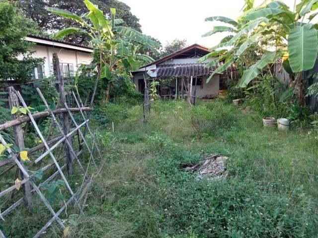 ขายที่ดินตำบลป่าตันใกล้เมืองแปลงเล็กโฉนดพร้อมโอน