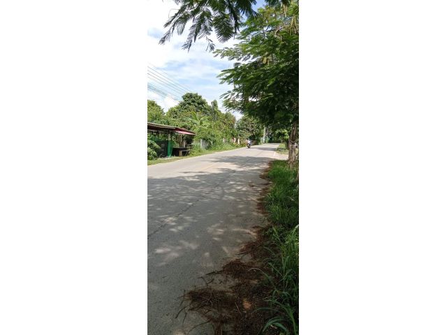 ขายที่ดินหลังมหาวิทยาลัยแม่โจ้พร้อมบ้านทำเลดีพร้อมโอน