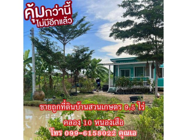 ขายถูก ที่ดินบ้านส่วน 9.5 ไร่ คลอง 10 หนองเสือ ปทุมธานี เจ้าของไม่มีเวลาดูแล