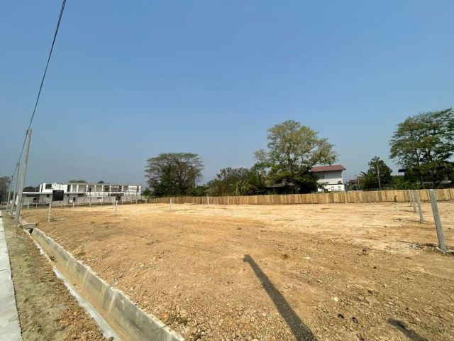 ขายที่ดินในหมู่บ้านวังตาลแปลงมุมหางดงสันผักหวานพร้อมโอน