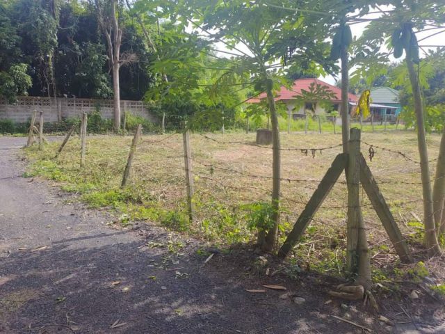 ขายที่ดินสันโป่งแม่ริมห่่างถนนโชตนาเพียง 100เมตร