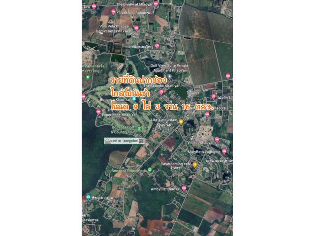 ขายที่ดินปากช่อง ใกล้ขนงพระ โฉนด 9 ไร่ 3 งาน 16 ตรว. ไร่ละ 6.5 ล้าน