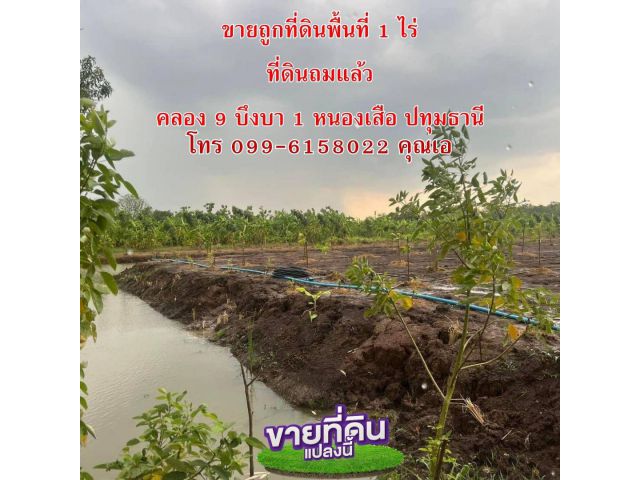 ขายถูก ที่ดินถมแล้ว 1ไร่คลอง 9 บึงบา 1 หนองเสือ ปทุมธานี