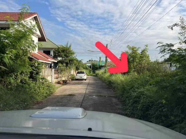 ขายถูกมาก!! ที่ดินทำเลทอง 63.7 ตร.ว. อ.เมือง จ.กาฬสินธุ์ ใกล้โลตัส การไฟฟ้า เพียง 5 นาที  ถึงใจกลางเมืองกาฬสินธุ์
