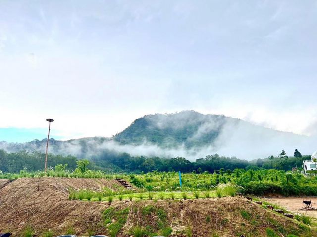 ที่ดินทำเลดี วิวสวย 2 ไร่ เขามะเข้ม สถานที่พักผ่อนหรือแคมป์ปิ้ง โอบกอดด้วยวิวเขา สายหมอกร่มรื่น บรรยากาศ ธรรมชาติ