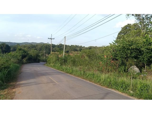 ขายที่ดินเขาใหญ่ ที่เนินเขา 14 ไร่ หนองตะกู ขนงพระ ติดลาดยาง ที่สูงภูเขาล้อมรอบ สูงจากระดับน้ำ 450 ม. อยู่เส้น 2235 หนอง