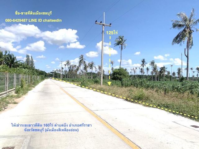 ##ให้เช่าระยะยาว(ให้เช่าเชิงพาณิชย์)ที่ดินติด #นิคมปิ่นทอง4 เนื้อที่รวม 160ไร่ ตำบลบึง อ.ศรีราชา ##