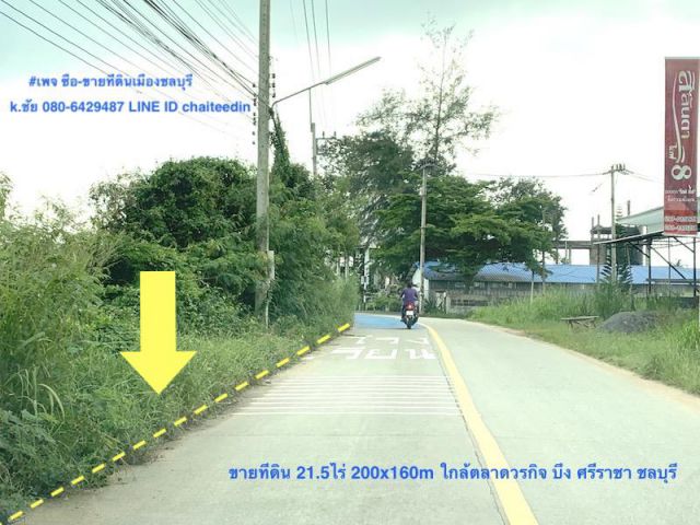 ##ขายที่ดินผังเมือง EEC เนื้อที่ 21.5ไร่ ติดถนน 200เมตร ลึก 160เมตร ตำบลบึง ศรีราชา ชลบุรี ใกล้นิคมปิ่นทอง ##