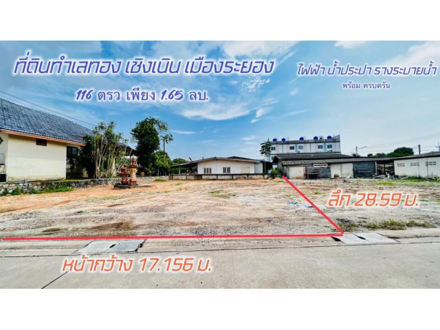ขาย ที่ดิน เชิงเนิน 116 ตร.วา ติดถนนคอนกรีต เหมาะสำหรับ สร้างบ้าน ร้านค้า ห้องแถว เชิงเนิน อ.เมือง ระยอง ที่สวยทำเลทอง
