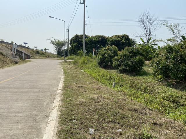 175 ตรว. ติดถนนเลี่ยงเมืองสันป่าตอง-หางดง  บ้านทุ่งสะโตก