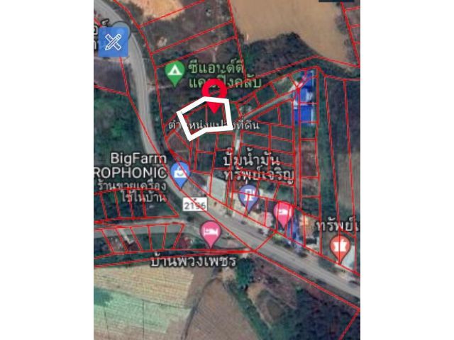 ขายที่ดินโฉนด 230 ตรว. ต.ทุ่งสมอ อ.เขาค้อ จ.เพชรบูรณ์