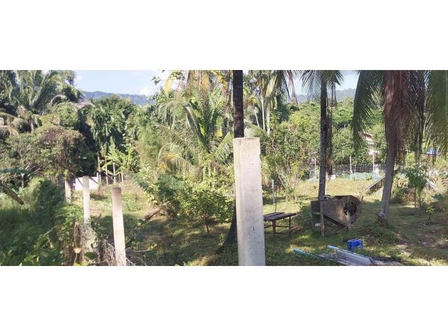 ขายที่ดินนครนายก