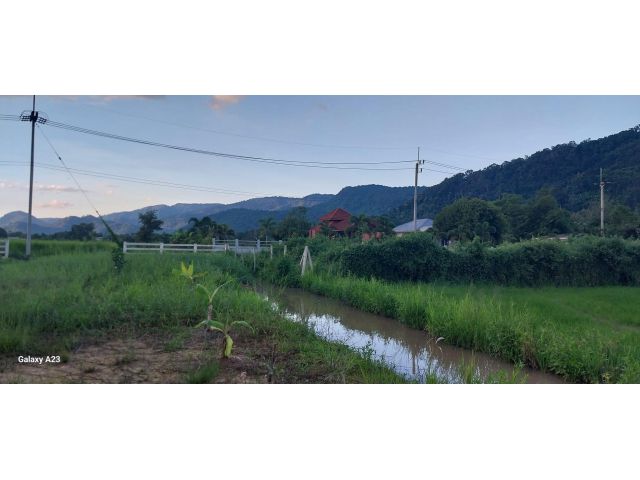 ขายที่ดินนครนายก