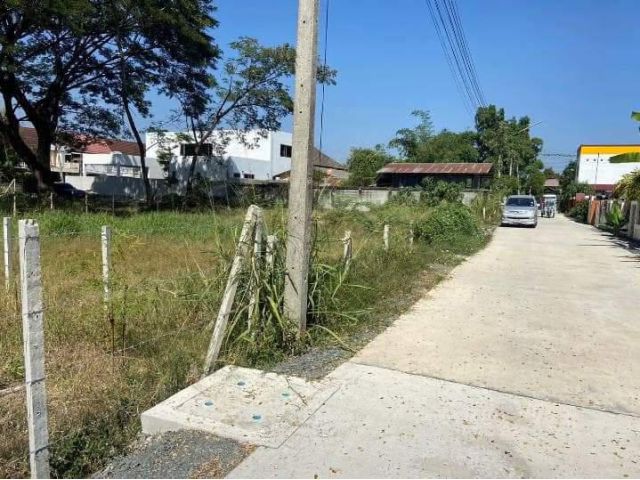 ขายที่ดินตำบลหนองหอยติดถนนคอนกรีตพร้อมโอน