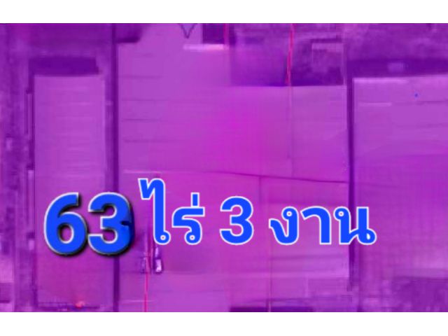 ขายโรงงานม่วงเข้ม 64 ไร่