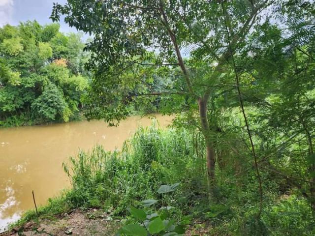 ขายที่ดินบ้านริมปิงติดน้ำห่างตัวเมืองเชียงใหม่ 30 กม