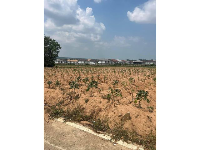 ทีดินติดโครงการหมู่บ้านบ่อวิน 25-1-38 ไร่ ไร่ละ 3.5ล้าน ต.บ่อวิน อ.ศรีราชา จ.ชลบุรี - ที่ดินติดถนนรอบด้านมีสองโฉนด ด้านติดถนนทางหลวงสุขาภิบาล