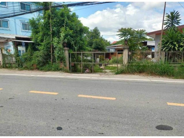 ขายที่ดินติดถนนหลักค้าขายได้ตำบลป่าแดดดอนชัยพร้อมโอน