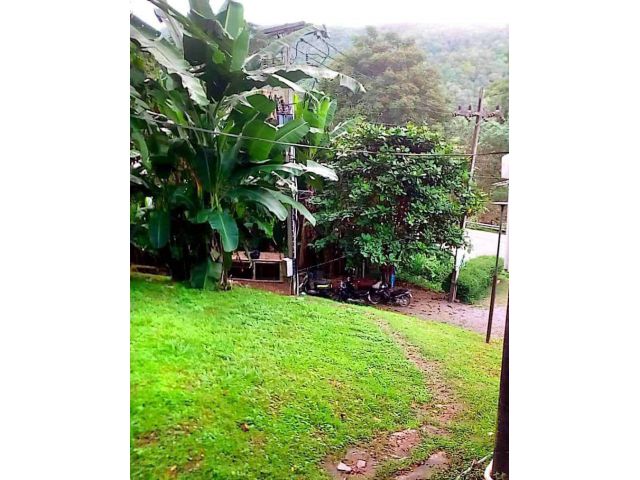 ขายที่ดินติดถนนเส้นบ้านปงสะเมิงโฉนดพร้อมโอน
