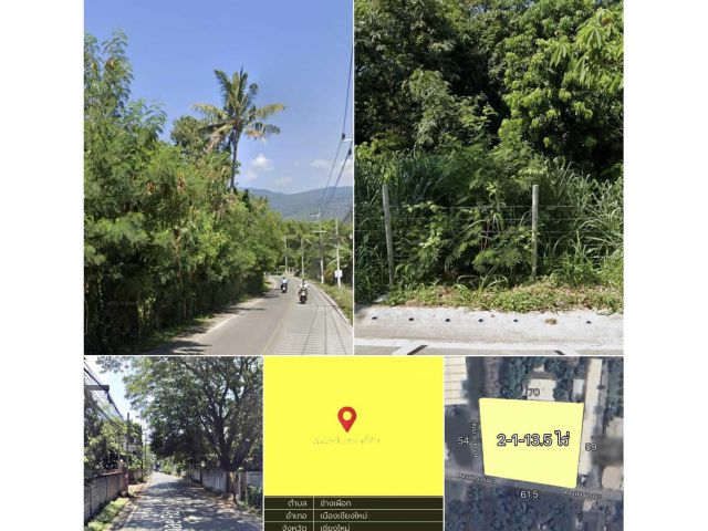 ขายที่ดินวิวดอยสุเทพ 2-1-13.5 ไร่ ต.ช้างเผือก ในเมืองเชียงใหม่