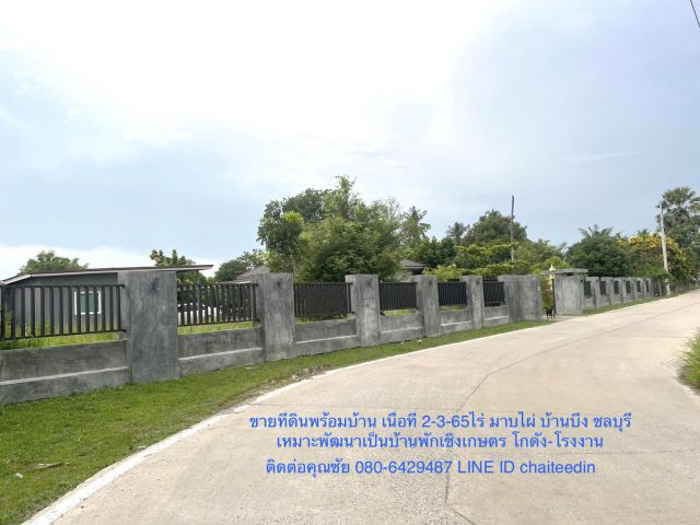 ##ขายบ้านพร้อมที่ดิน เนื้อที่ 2-3-65ไร่ หน้ากว้าง 45เมตร ตำบลมาบไผ่ บ้านบึง ชลบุรี ผังเมือง EEC สีเหลืองอ่อน ใกล้สำนักงาน อบต.สำนักบก ##