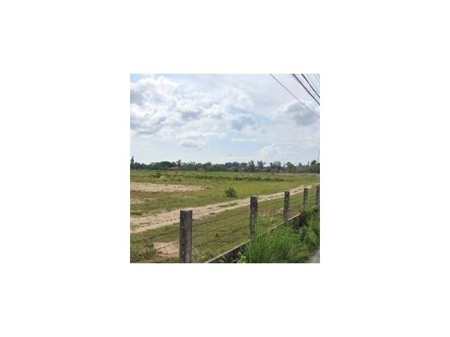ขายที่ดิน8-90ตรว ใจกลางเชิงเล