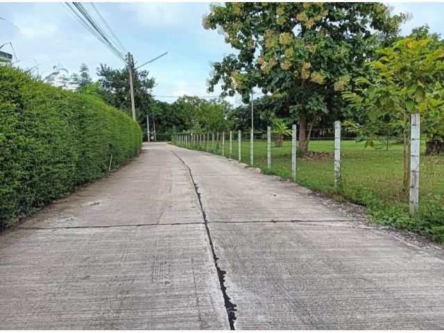 ขายที่ดินติดถนนสองด้านตำบลน้ำแพร่หางดงปรับหน้าดินเรียบร้อย