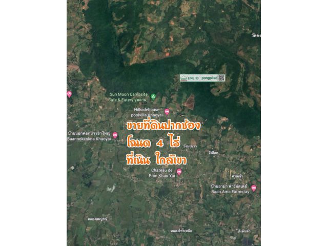 ขายที่ดินปากช่อง โฉนด 4 ไร่ ละ 2.5 ล้าน ที่เนิน หลังใกล้เขา