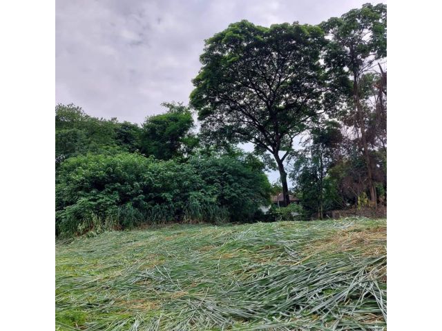 ขายที่ดินในเมืองห่างถนนมหิดลเพียง 500 เมตร พร้อมโอน