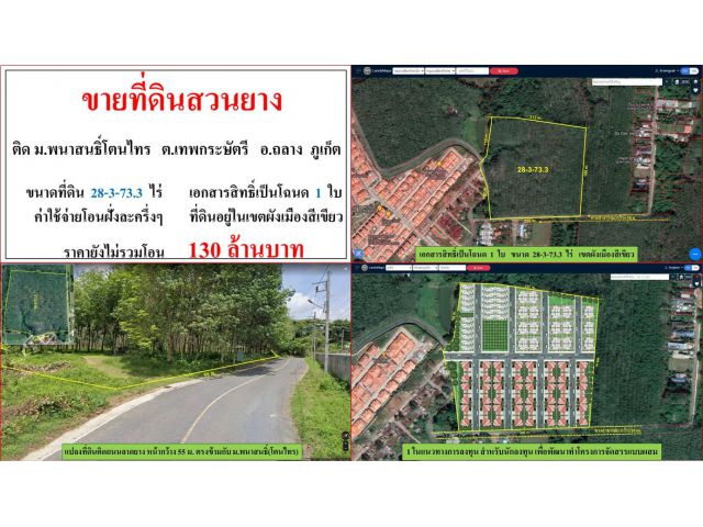 ขายที่ดินสวนยาง ขนาด 28-3-73.3 ไร่  ติดหมู่บ้านพนาสนธิ์โตนไทร  ต.เทพกระษัตรี  อ.ถลาง  ภูเก็ต