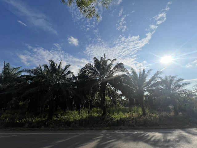 ขายที่ดิน อ.กบินทร์บุรี 77 ไร่