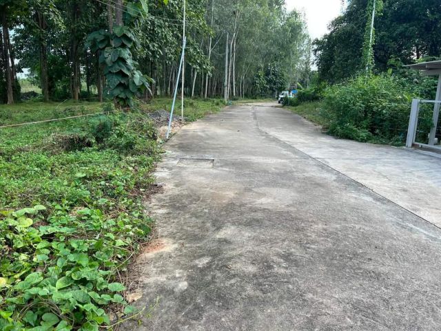 ขายที่ดินในโครงการบ้านริมน้ำสันผีเสื้อโฉนดพร้อมโอน
