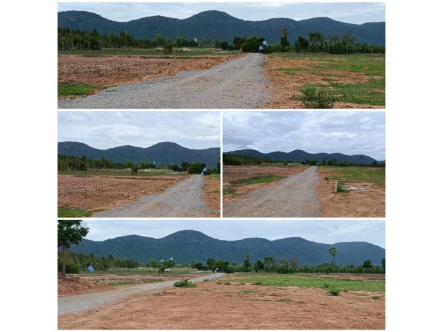 ที่วิวเขา 1 ไร่  ฟรีขุดบ่อปรับที่ดิน โฉนด