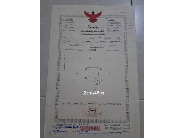 ลดสุดๆ 2งาน 45ตารางวา 199,000
