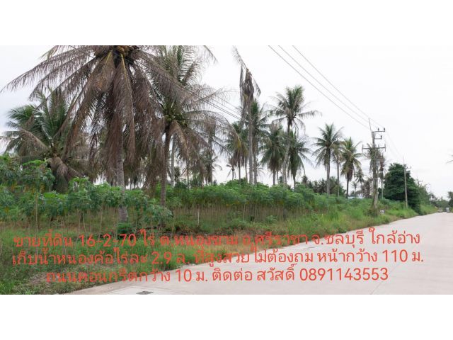 ขายที่ดิน 16-2-70 ไร่ เจ้าของขายเอง ตำบลหนองขาม อำเภอศรีราชา ติดถนนคอนกรีตกว้าง 10 ม. ใกล้หนองค้อ/สนามบินเล็ก/สนามแข่งรถ