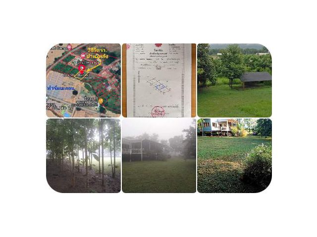 !!!!ขายที่ดิน389ตรว.พร้อมบ้าน2หลัง5ล้านใกล้โลตัสเขาใหญ่-ปากช่องห่างถนนมิตรภาพเพียง700เมตร