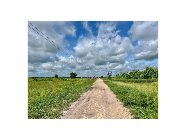 ขาย ที่ดิน 
~ TP-PV 0003
~บ้านนา โครงการ 1

~ เหมาะกับการทำบ้านสวนเกษตร 
~อยู่กับธรรมชาติอากาศสดชื่น 200 ตร.วา
