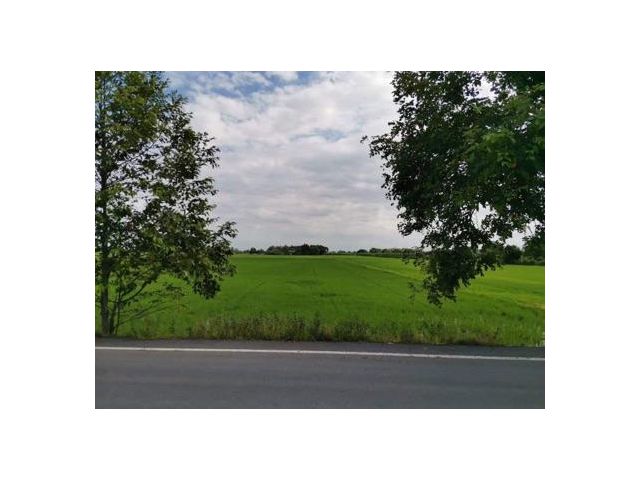 ขายที่ดินแปลงสวยที่ สามโคก ปทุมธานี หน้ากว้างติดถนน 90 เมตร
